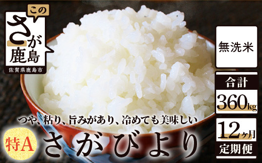 
                  無洗米 さがびより 30kg 定期便 （12か月） V-37 佐賀県産 12回 
                