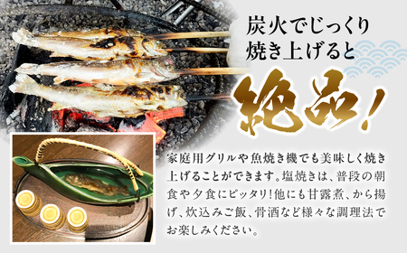 白川村産 天然岩魚 イワナ 10尾 18cm以上 岩魚 天然 いわな イワナ 魚 川魚 BBQ バーベキュー アウトドア 岐阜県 白川郷 世界遺産 塩焼き 20000円 [S804]