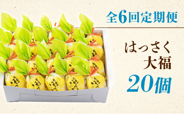 【全6回定期便】お菓子 はっさく大福20個入　 お菓子 大福 八朔 柑橘 みかん オレンジ 餅 ギフト お取り寄せ スイーツ フルーツ大福 ご当地 菓子 おかし デザート 食品 人気 おすすめ 広島県福山市/株式会社虎屋本舗 [BADH031]