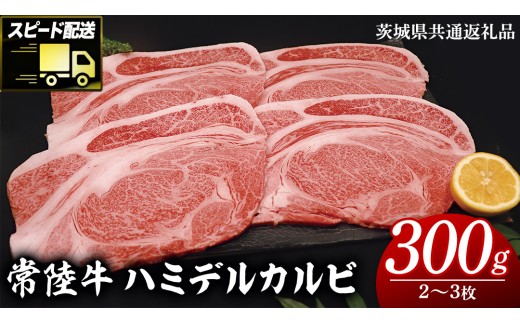 
                  【 スピード発送 】【常陸牛 】 ハミデルカルビ300g（2～3枚） (茨城県共通返礼品) 国産 焼き肉 カブリ ゲタ リブ芯 リブ巻 中落ちカルビ バーベキュー BBQ お肉 ブランド牛 黒毛和牛 和牛 国産黒毛和牛 国産牛 牛肉
                