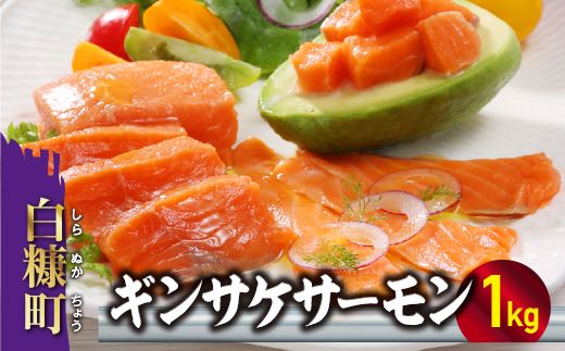 ※2025年7月末までにお届け※ギンサケサーモン【1kg】