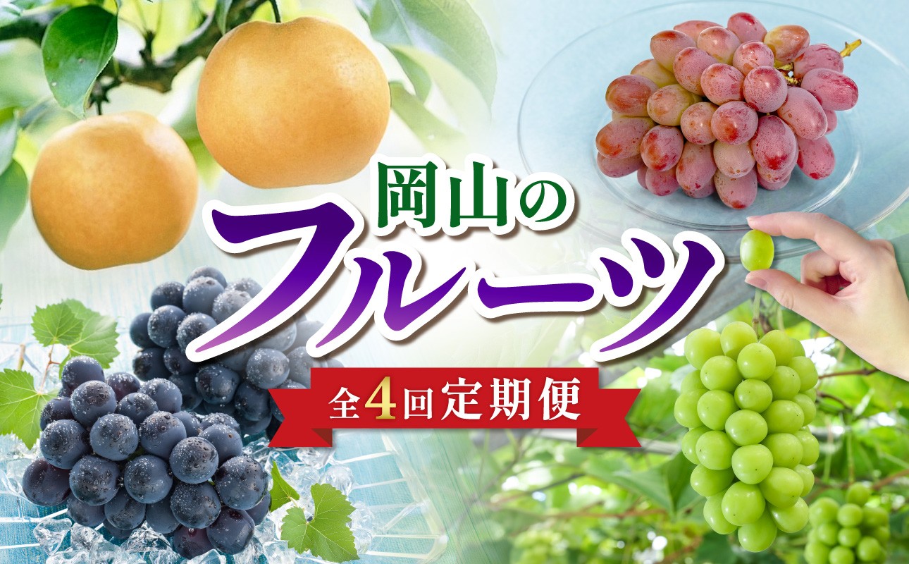 
                  【2026年発送】【定期便】岡山のフルーツ定期便4回コース（9月～12月配送 計4回お届け！）【ニューピオーネ シャインマスカット 晴王 紫苑 あたご梨 ぶどう 梨 果物 くだもの フルーツ 定期便】
                