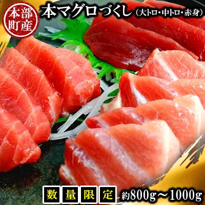 ふるさと納税 本部町 【数量限定】本部町産の本マグロづくし(大トロ・中トロ・赤身)約800g〜1000g