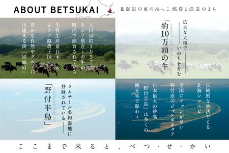 ひがし北海道 別海町の旅（日本全国発着 ANA往復 航空券 + 別海町 宿泊 1泊 北海道 旅行 旅行券 ホテル 旅館 宿泊券 ）
