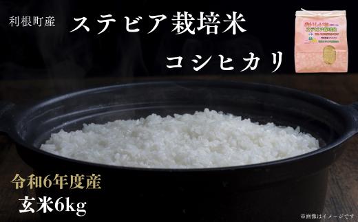 
利根町産ステビア栽培米（コシヒカリ　玄米）6kg
