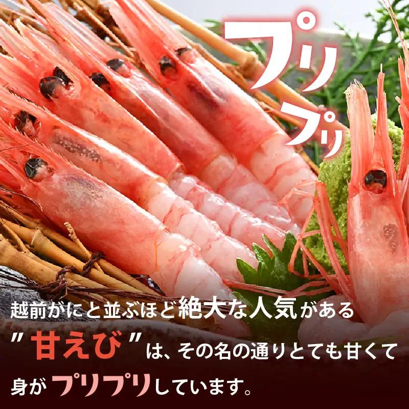 旬 甘えび 卵無し 小分け 約500g【12尾前後 × 3袋】中サイズ 【海老 お刺身】[m36-a021]