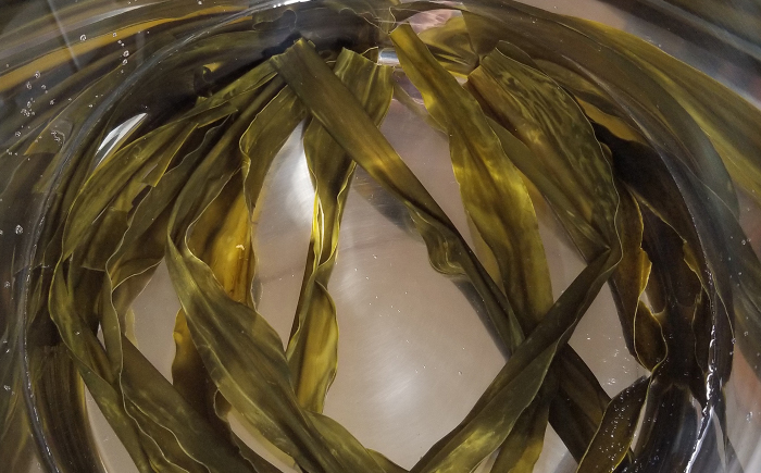 簡単 味噌汁 17杯分 糸島 鯛 液みそ 5本 糸島市 / 糸島食品[ABE019]
