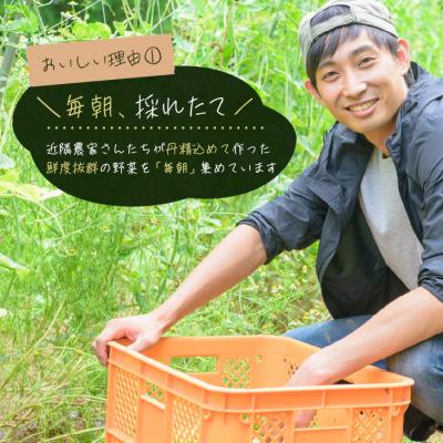 ふるさと納税 淡路市 【定期便】淡路島の旬の野菜セット 3ヶ月コース(月1回×3回)　ah09802 |  | 01