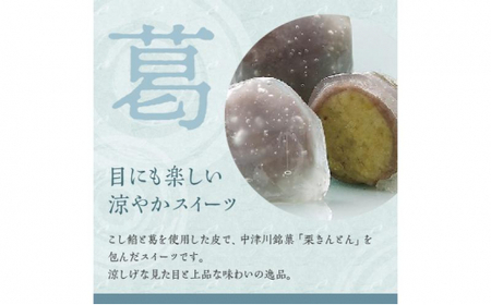 人気商品!! 栗きんとん詰合せ12個入 [秋季限定] 信玄堂 【2027年1月お届け】 F4N-2323