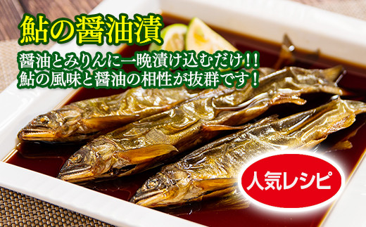 焼き鮎（炭焼き干し鮎）３袋セット＜1.4-13＞川魚 魚 