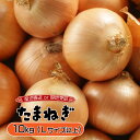 【ふるさと納税】≪通常配送or現地受取が選べる!≫ 市場の目利き 北海道岩見沢産たまねぎ 10kg