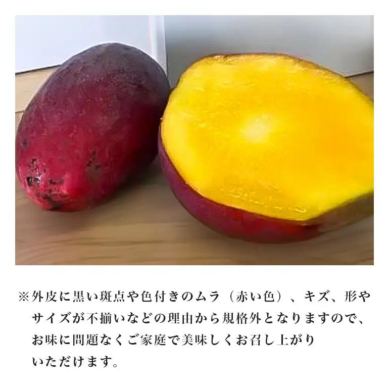 【 先行予約 2027年 発送 】 訳あり 沖縄県 糸満産 かねよし マンゴー アーウィンマンゴー 2kg 訳アリ 訳あり品 沖縄県産 アップルマンゴー 国産 完熟マンゴー 果物 くだもの フルーツ 