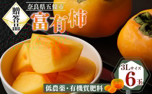贈答品 富有柿 6玉入り 3Lサイズ   | フルーツ 果物 くだもの 柿 かき カキ 富有柿 奈良県 五條市