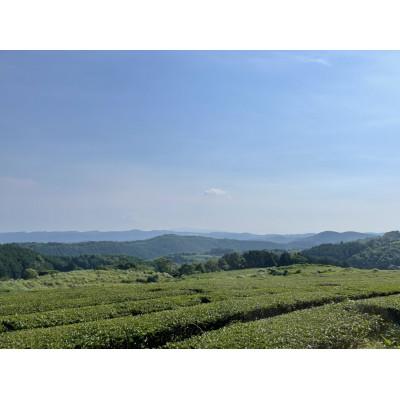 ふるさと納税 水俣市 【栽培期間中農薬不使用　マテリアルブレンドティー5本セット】こだわり原料だけのブレンドティー |  | 01