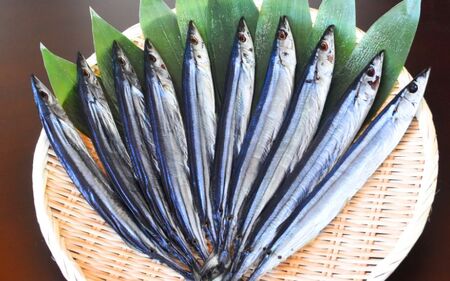 干物 寒作り さんま丸干し 20本【uosk0022】