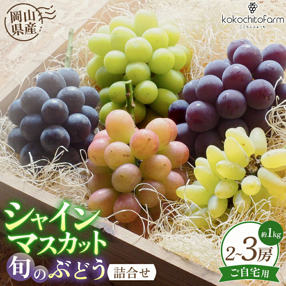 【ふるさと納税】 【2026年先行予約】 ここちとふぁーむ 【ご自宅用】 岡山県産 シャインマスカット＆旬のおまかせぶどう 2～3房 約1kg / 数量限定 産地直送 ぶどう 食べ比べ ブドウ シャインマスカット 真庭市 セット
