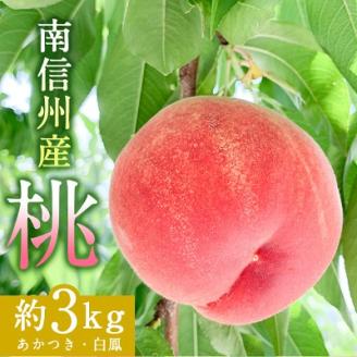 南信州産「桃」約3kg〈あかつき・白鳳〉　【2024年7月より順次発送】【配送不可地域：離島】