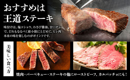 旭志牛 ヒレブロック 600g 有限会社旭志村ふれあいセンター 《90日以内に出荷予定(土日祝除く)》 お肉 牛肉 ヒレ ステーキ ブロック 菊池ブランド牛 冷凍 送料無料