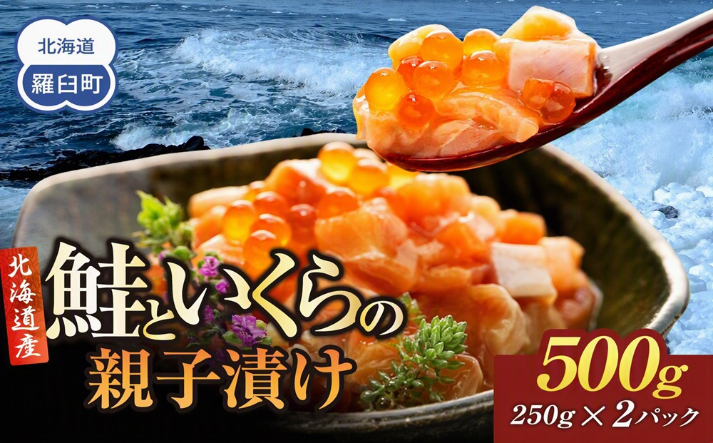 【2027年3月発送】北海道産 鮭といくらの親子漬け 500g （250g × 2パック） 小分け 国産 北海道 羅臼 サケ さけ シャケ しゃけ イクラ 魚卵 鮭卵 醤油漬け しょうゆ漬け 親子丼 海鮮丼 ご飯のお供 おかず おつまみ 一人暮らし おすそわけ 魚介類 生産者 支援 応援 016942_AA078VC03