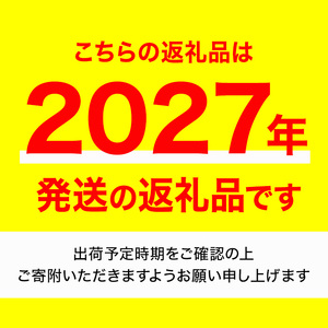 ＜先行予約！2027年2月下旬以降順次発送予定＞初物！アスパラガス さぬきのめざめ(約1kg/Lサイズ以上) 香川県 国産 野菜 アスパラ 新鮮 冷蔵便【man091】【Aglio nero】