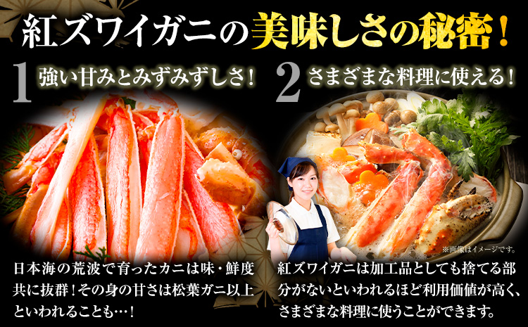 訳あり カニ 紅ズワイガニ 400g(1枚) 《9月中旬-6月中旬頃に出荷予定》鳥取県 八頭町 送料無料 蟹 かに 姿 鍋 ズワイガニ ベニズワイガニ ズワイ蟹 ボイル 冷蔵便【配送不可地域あり】