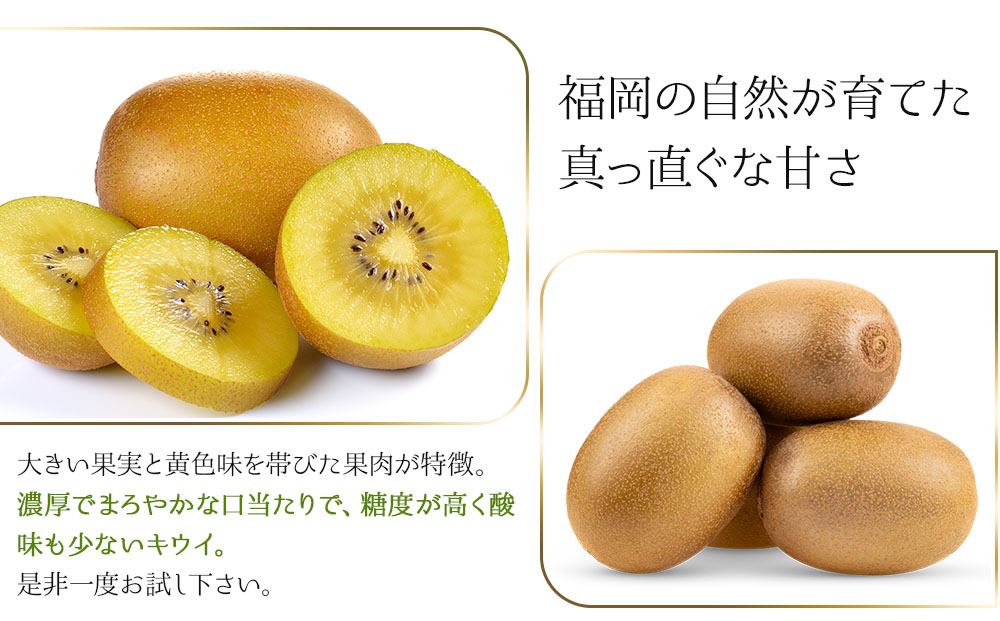 【先行予約】福岡限定!ブランドキウイ「甘うぃ(あまうぃ)」約3kg箱(24-30玉)(篠栗町)【NF006】