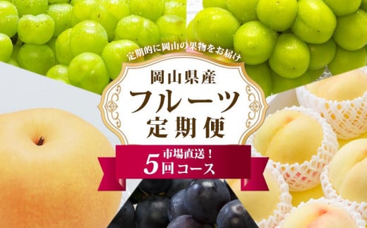 フルーツ 定期便 2026年 フルーツ王国 岡山を堪能 5回コース 桃 もも 葡萄 ぶどう 梨 なし岡山県産 国産 果物 セット ギフト