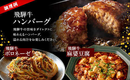 飛騨牛ミンチ1kg（500g×2）| 人気 おすすめ ギフト ミンチ 飛騨牛 牛 ジューシー ハンバーグ お肉 肉 にく  冷凍 冷凍保存 お取り寄せ  飛騨高山ミート MZ042