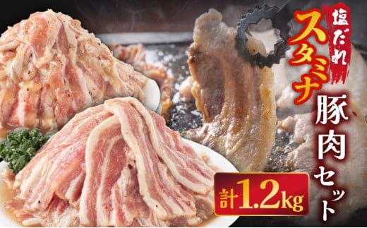 
            塩ダレ スタミナ 豚肉セット 1200g 国産 豚肉 焼肉 味付 味付豚 簡単調理 焼くだけ BBQ 野菜炒め パスタ 塩やきそば 蒸し焼き サムギョプサル
          