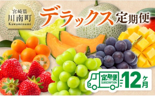 【 12ヶ月定期便 】 デラックス 定期便 【 川南町産 くだもの きんかん いちご 完熟 マンゴー ぶどう ピオーネ シャイン マスカット 大玉 メロン 】[B11701t12]