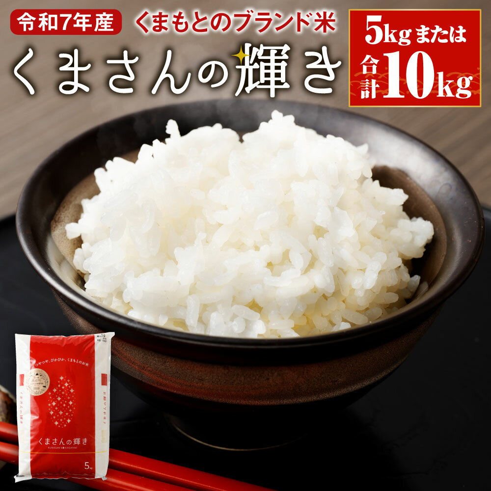 【ふるさと納税】くまもとのブランド米 くまさんの輝き 5kg/10kg (5kg×2袋) 令和7年産 選べる 容量 14営業日以内発送 熊本県産 九州 米 お米 白米 ご飯 精米 一等米 袋 国産 送料無料