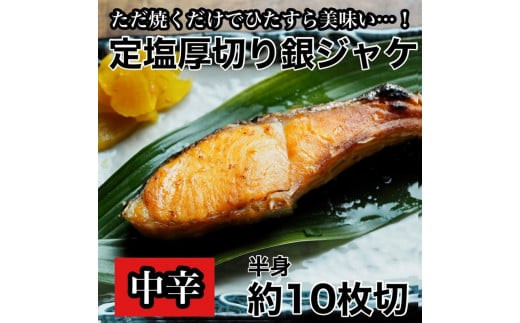 【中辛】厚切り銀鮭 半身1枚 約10枚切【鮭 塩鮭 サケ 焼き魚 魚 おつまみ 惣菜 海鮮 珍味 お取り寄せ 御中元 お中元 お歳暮 父の日 母の日 贈り物 日本酒 焼酎 神奈川県 小田原市 】 142069_DQ030VC01