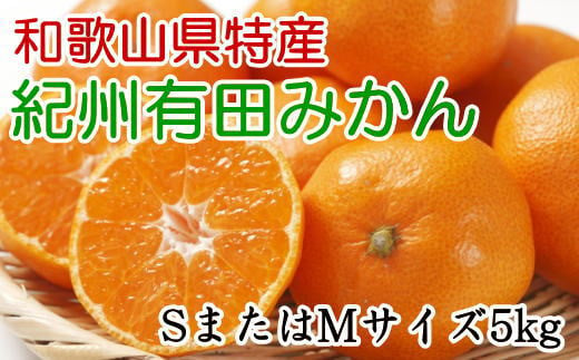 
[秀品]和歌山有田みかん　5kg(SサイズまたはMサイズのいずれか) ※2024年11月中旬～1月中旬頃順次発送【tec833】
