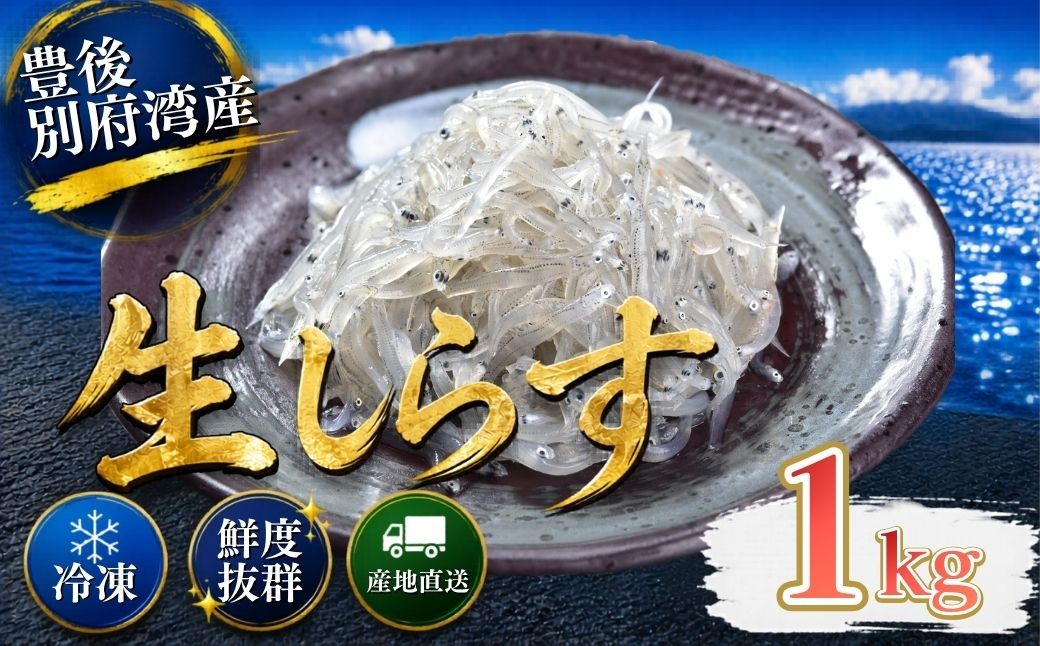 
                  豊後別府湾生しらす 計 1kg（100g×10パック） 国産 添加物不使用 ／ 生しらす しらす 国産 小分け 冷凍 生シラス なましらす ナマシラス しらす シラス 1kg 1キロ 冷凍配送 海鮮丼 おつまみ スピード発送 スピード ＜108-222＞
                