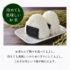 【令和7年産　新米予約　2025年9月より順次発送】丹波篠山産 コシヒカリ 10kg 白米 兵庫県 丹波篠山市 白米 単一原料米 産地直送米 贈答 おいしい お米 精米 コシヒカリ ブランド おこめ 