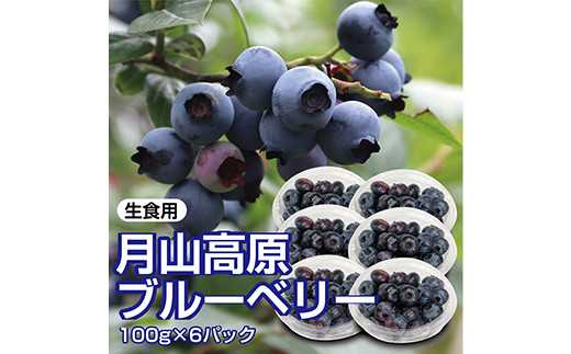 【先行予約 2025年度発送】山形県月山高原産 大澤農園のブルーベリー 100g×6パック 計600g 生食用 爽やかな甘酸っぱさが魅力です  フルーツ 果物 くだもの 果実 食品 山形県 FSY-1224