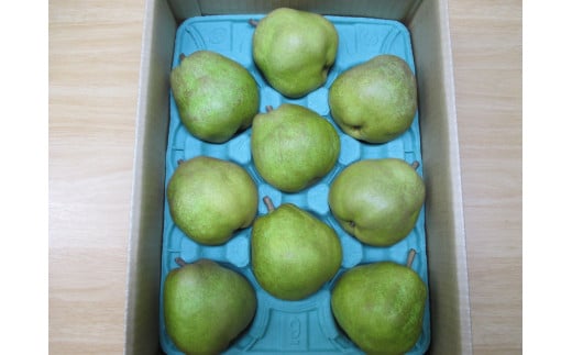 西洋梨（ラ・フランス）３ｋｇ　ご家庭用　0110-2505