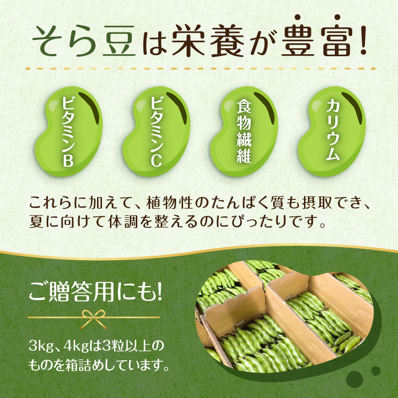 【先行受付 2025年4月中旬～5月中旬発送予定】そら豆/ソラマメ4kg 新鮮 栄養 ミネラル ビタミン類 植物性タンパク質 パスタ