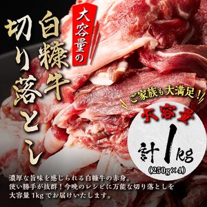 【訳あり】北海道産 赤身の旨味がギュッと詰まった 白糠牛 切り落とし【1kg（250g×4パック）】小分け 惣菜 牛肉 切り落とし 赤身 牛 国産牛 お肉 切落し 大容量 冷凍 ふるさと納税 北海道 