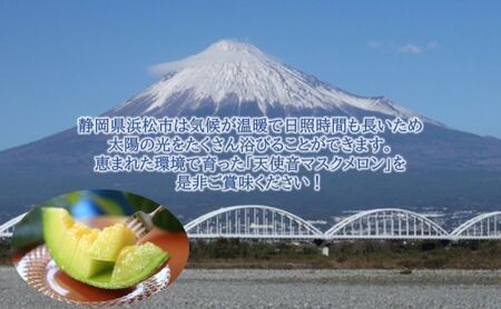 【2024年2月上旬以降順次発送】天使音（あまね）マスクメロン １玉（1.4kg以上）【配送不可：離島】