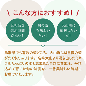 DS-26　大山の自然が育てた季節の梨 5kg