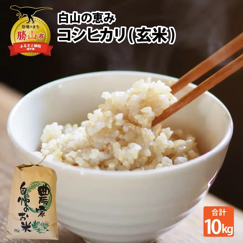 コシヒカリ 玄米 10kg 令和8年度産 コシヒカリ
