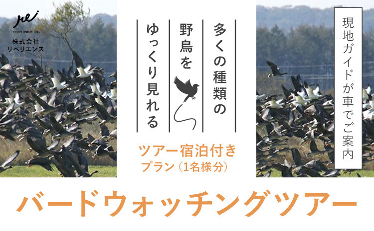
十勝バードウォッチングツアー ツアー+お泊りセット 体験型返礼品
