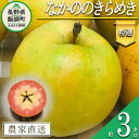 【ふるさと納税】 りんご なかののきらめき 特選 3kg やまじゅうファーム 沖縄県への配送不可 令和6年度収穫分 信州の環境にやさしい農産物 減農薬栽培 長野県 飯綱町 【 信州 果物 フルーツ リンゴ 林檎 長野 16000円 】発送時期：2024年11月下旬～2024年12月上旬{***}