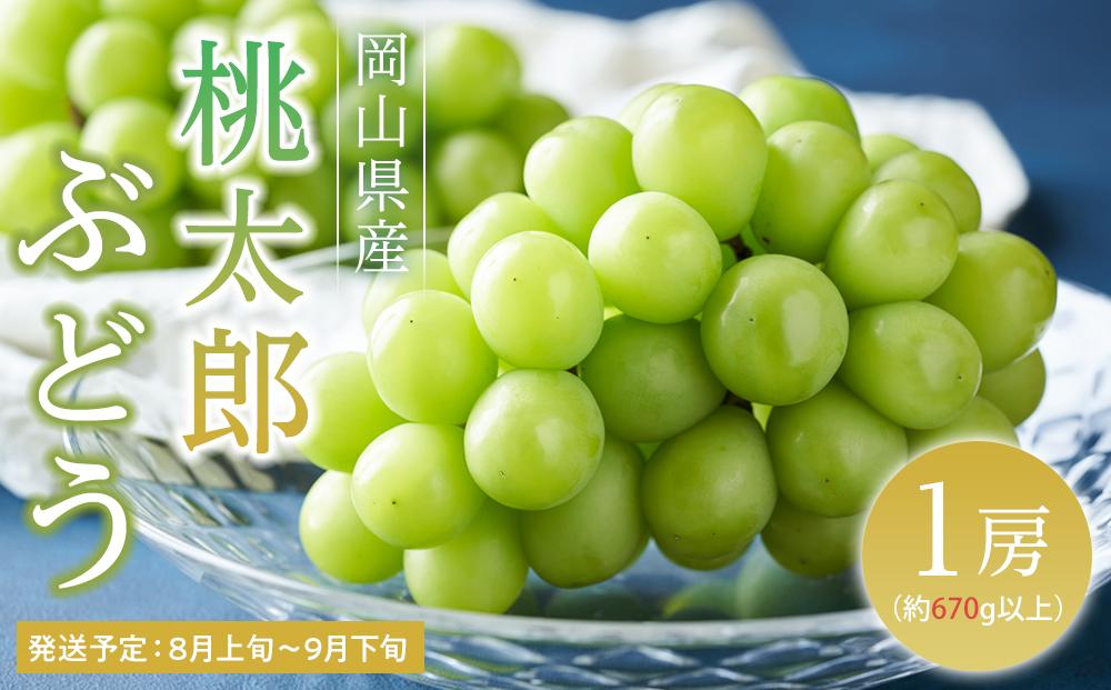 ぶどう 2027年 先行予約 桃太郎 ぶどう 1房（1房670g以上） ブドウ 葡萄  岡山県産 国産 フルーツ 果物 ギフト