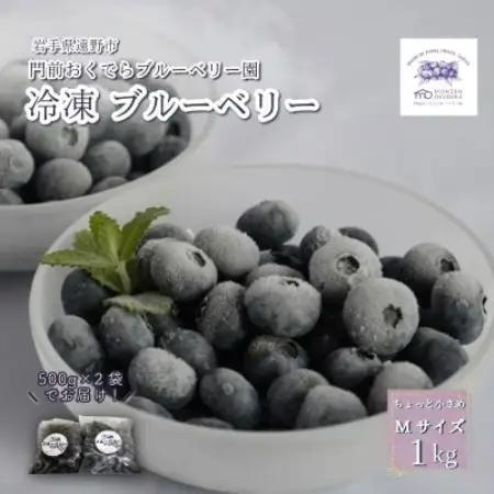 冷凍ブルーベリー ちょっと小さめ Mサイズ 1kg (500g×2個) 門前おくでらブルーベリー園【配送不可地域：離島】【1738476】