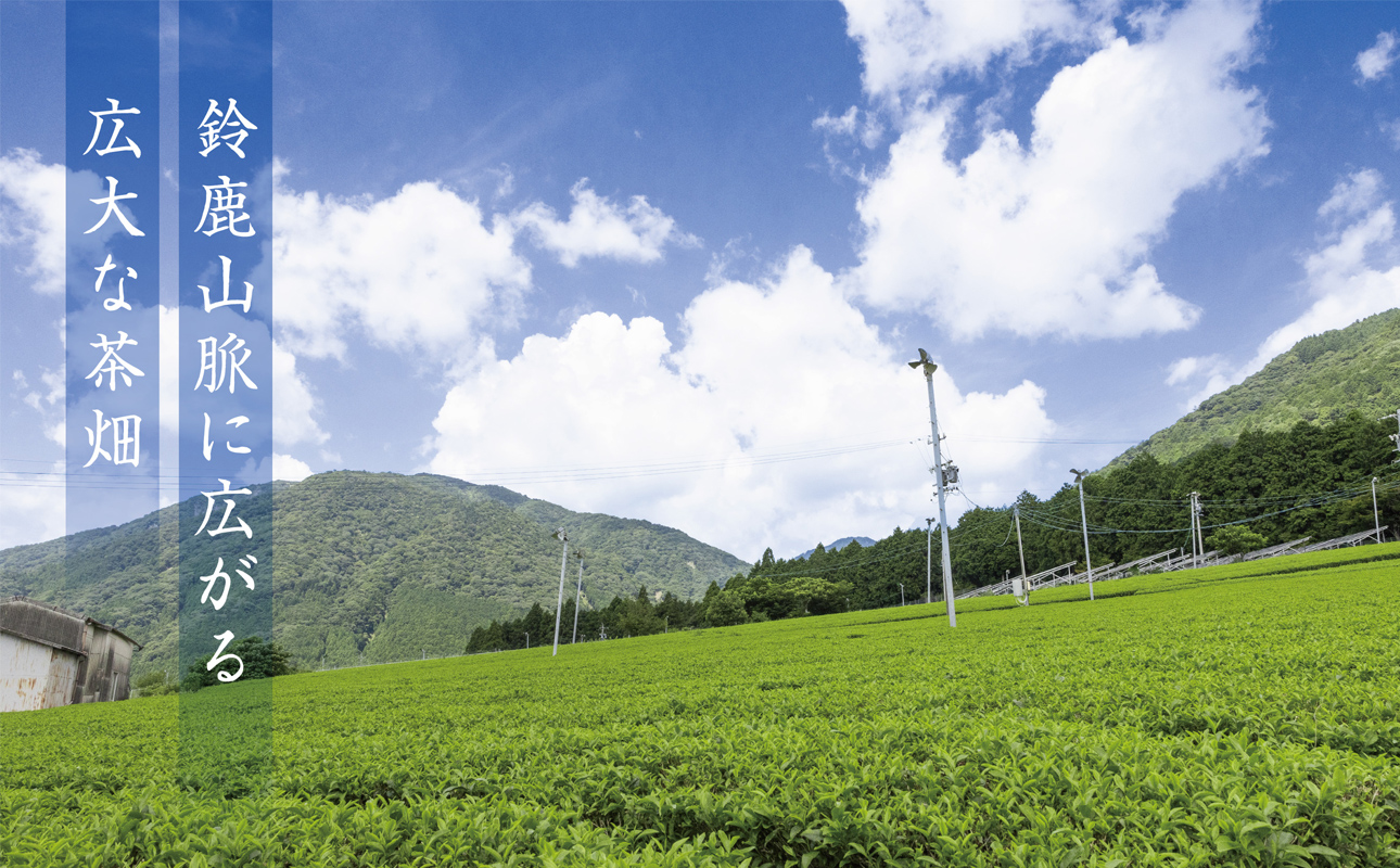 【ふるさと納税限定】皇室献上抹茶とメディアで話題の生クリーム大福のふるさと納税限定コラボ。抹茶モンブラン大福　９個入 【大福、モンブラン、栗、抹茶、生クリーム、クリーム、スイーツ、贅沢、ご褒美スイーツ