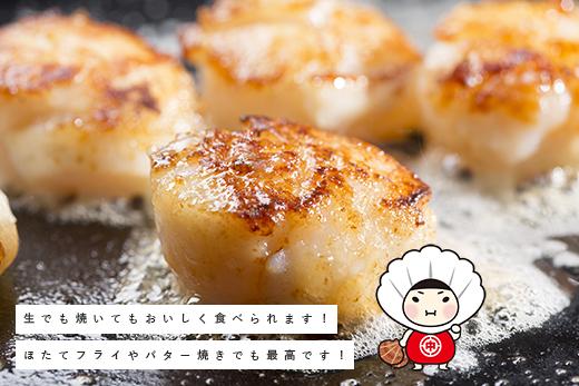 北海道 オホーツク産 冷凍 天然 ホタテ 大サイズ  1kg 帆立 