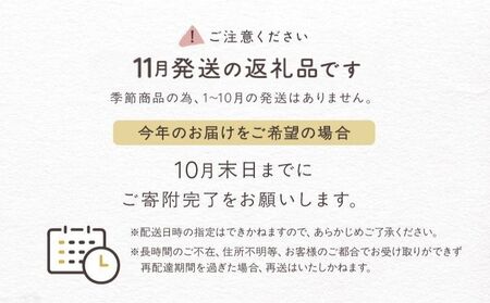 【salut!!】Xmasシュトーレン（11、12月発送商品です）_0026-001-se5