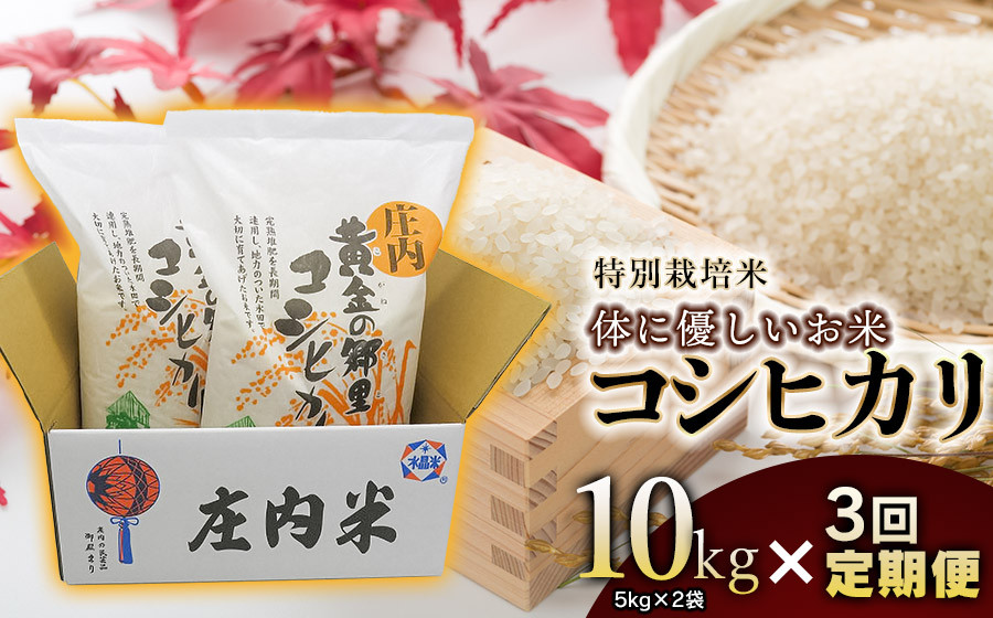 【3回定期便】【令和7年産】 特別栽培米 体に優しいお米・こしひかり 10kg(5kg×2)×3回 山形県庄内産　鶴岡米穀商業協同組合